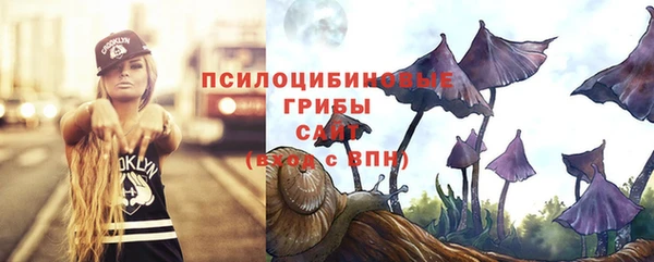 a pvp Алзамай